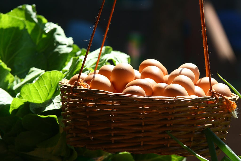 A woven basket filled with brown eggs hanging against a leafy background, bathed in sunlight.