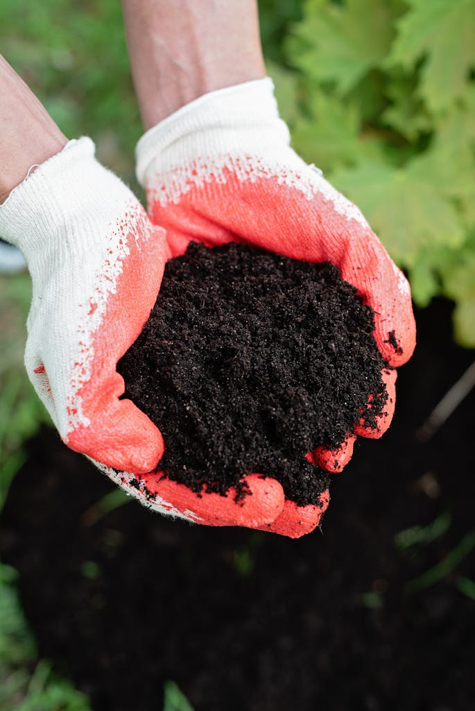 Close-up of hands in gloves holding nutrient-rich soil, perfect for gardening and planting.