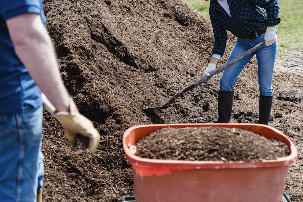 Two people working in a garden shoveling soil into a wheelbarrow on a sunny day.