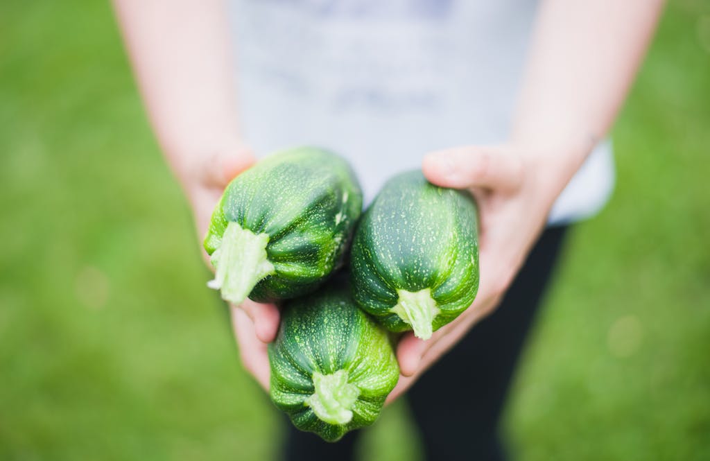 Close-up of hands holding fresh zucchinis outdoors, highlighting healthy vegetables.