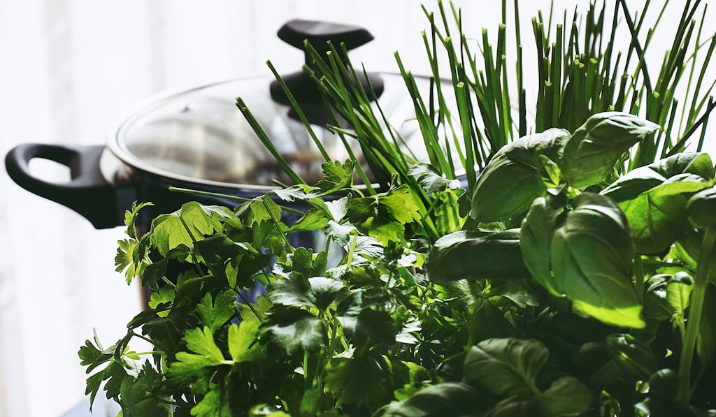 Vibrant fresh herbs in a kitchen setting, showcasing basil, parsley, and chives.